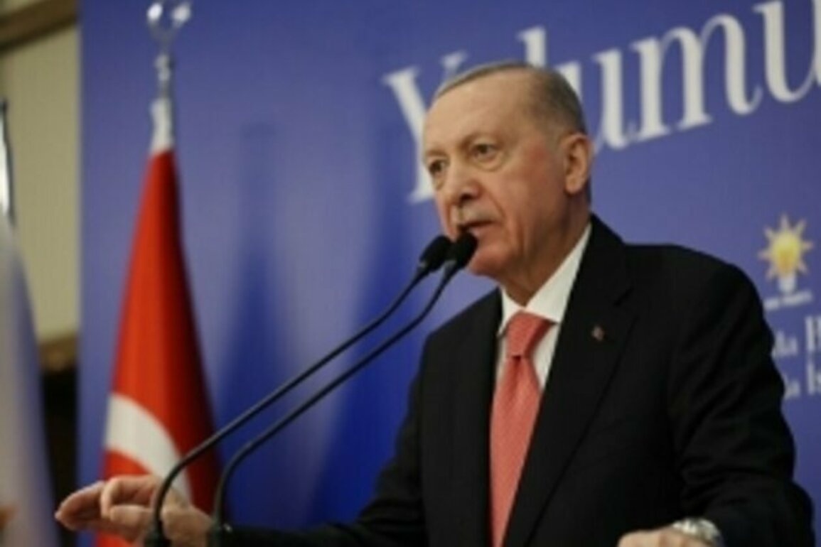 Turkish opposition launches petition against Erdoan
