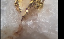  Aston Bay has encountered visible gold at the Buckingham target, Virginia