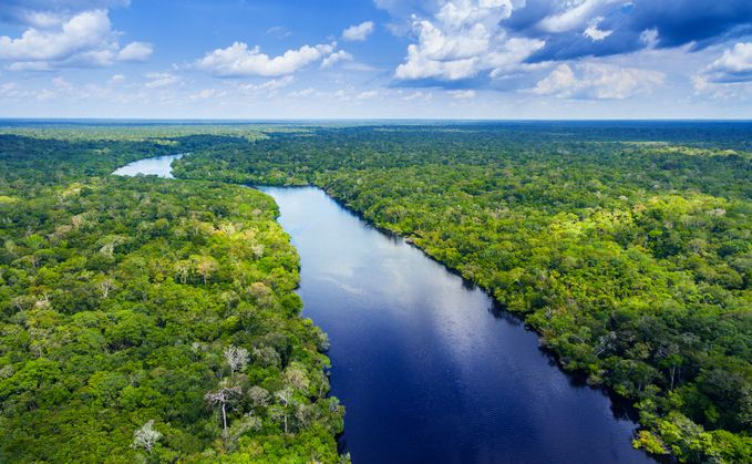 Big Nature Impact Fund: UK government announces COP27 funding boost for new public-private initiative