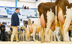 Focusing on the future of dairy at the Dairy Show