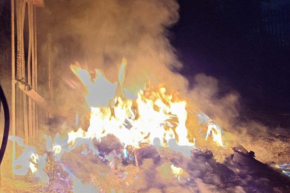 Fire service attacked by youths while attending fire at forest park