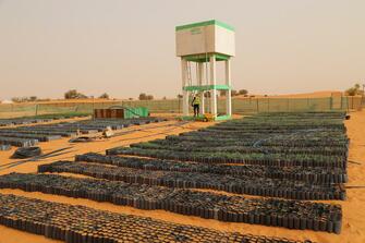 Chinese desert control edge boosts Mauritanian green efforts