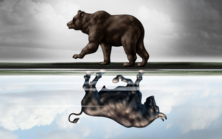 Exploring the options for downside protection in a bear market 