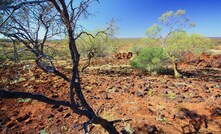 The Yalgoo area is littered with old mines.