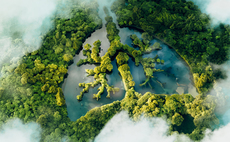 How are asset managers approaching net zero reporting?