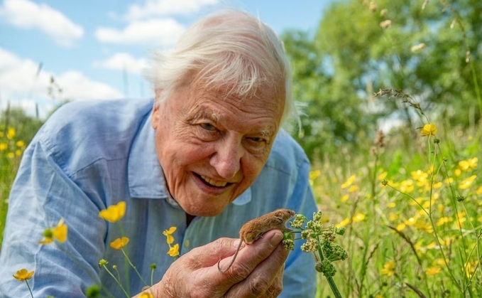 Sir David Attenborough welcoming a harvest mouse to its new home, in the BBC documentary Wild London / Credit: BBC/Passion Planet/Joe Loncraine