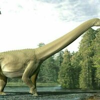 For the first time, fossil stomach contents of a sauropod dinosaur reveal what they really ate
