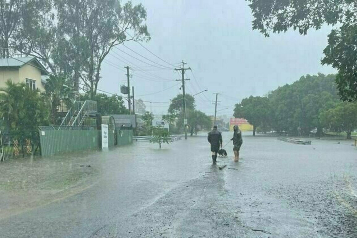 The sting in Alfred's tail: severe rain and flood risk as storms loom over Queensland and northern NSW