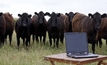 Keeping livestock data collection efficient and useful