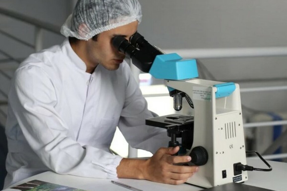 Rising trend of fatty liver in young adults alarms experts