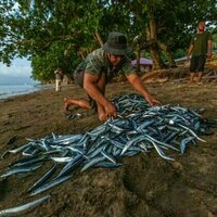 Bidik pasar perikanan Uni Eropa dan jadikan industri nasional berkelanjutan