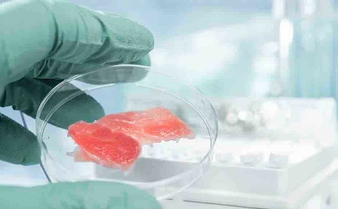 Efforts to push lab grown meat 'seriously misplaced'
