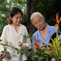 GLOBALink | Beyond bouquets: Fu Yulan's mission to preserve Anhui's floral heritage