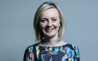 Liz Truss is 32 points ahead of the former chancellor Rishi Sunak in the latest survey of Conservative party members.