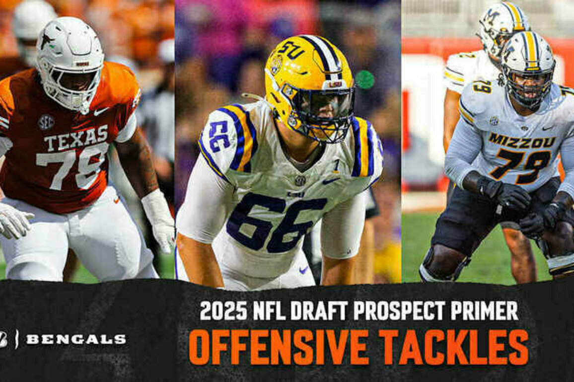 2025 NFL Draft Prospect Primer: Offensive Tackles