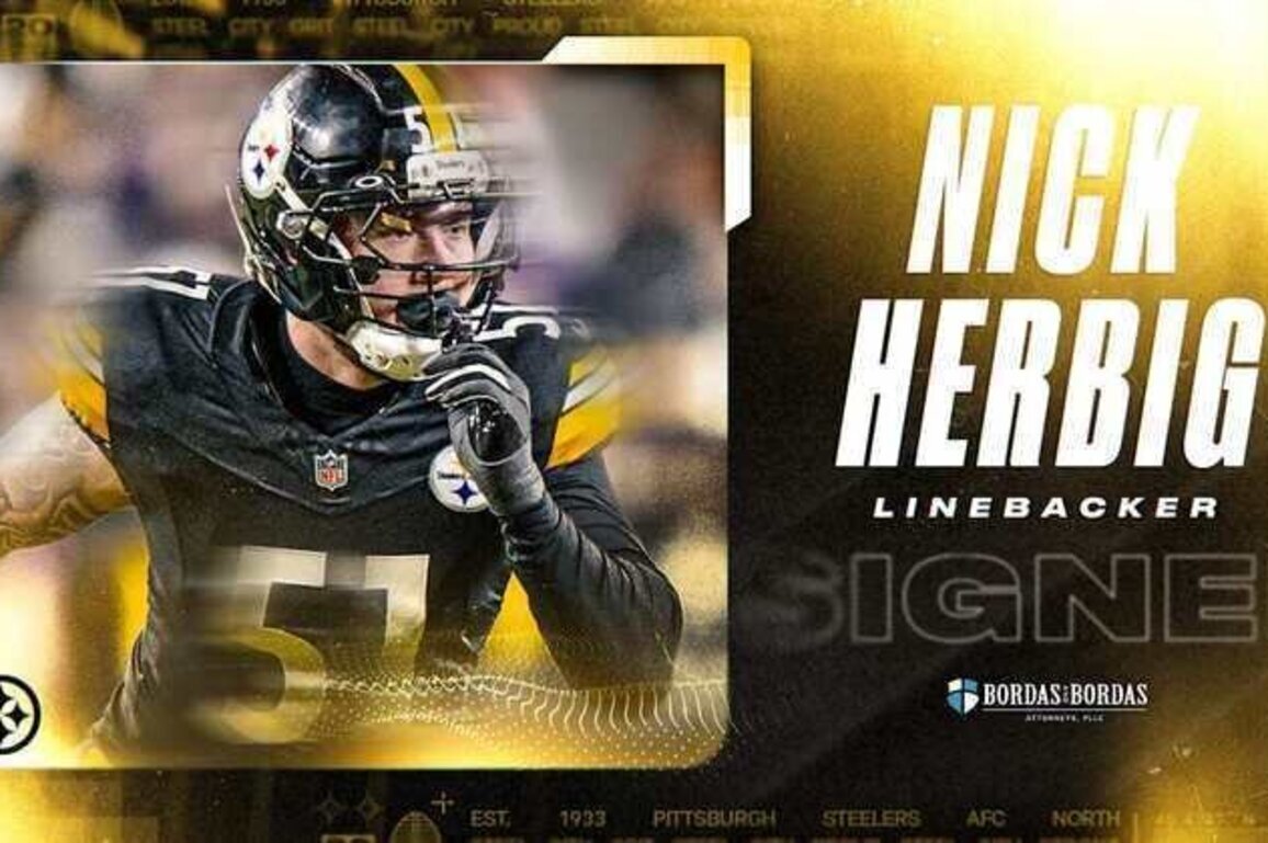 Steelers sign Herbig