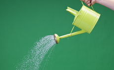 Want to hire an adviser? Just grow your own