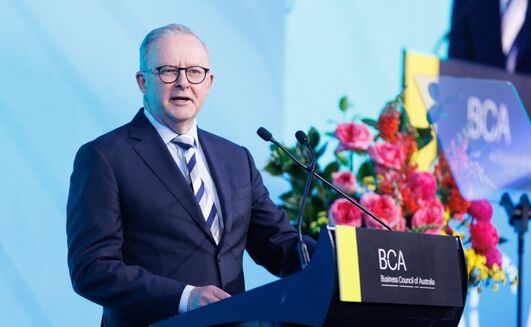 PM calls for corporate Australia's backing on emissions cuts