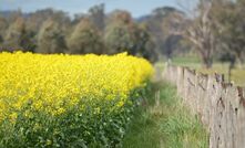 The conflict in the Middle East has the potential to impact input costs, and the price of wheat and canola, with the markets already responding to the changing situation. 