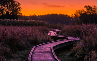 Partner Insight: Climate and credit – if it's easy, you're not doing it right