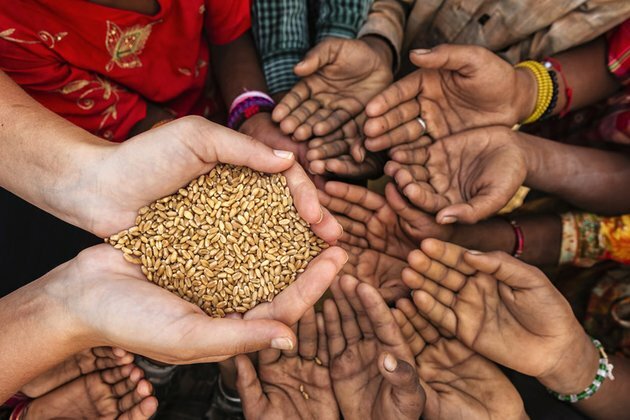 Ukraine conflict could spark food riots in poor countries WTO