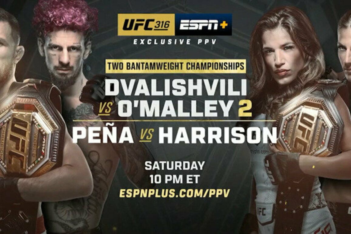 UFC 316: Dvalishvili vs. O'Malley 2 | Saturday, June 7