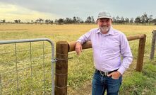 SA Drought Hub knowledge broker Tony Randall is coordinating a Smart Grazing, Stronger Lands project and said while the project covers a large geographical area, project delivery will be developed for and tailored to specific regions. 