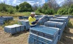 Inspecting core at Myrtleford 