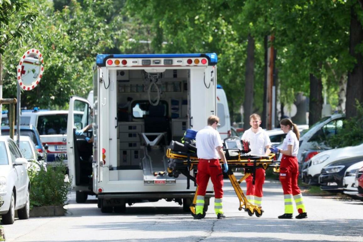 Former student opens fire at an Austrian school, kills 9 and self