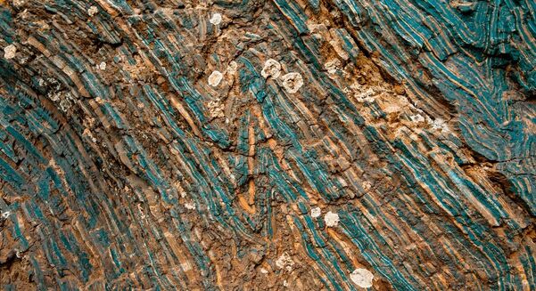 Imago enables users to access, collaborate on, and validate high-quality geoscientific images.
