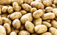 Canary Islands ban British potatoes