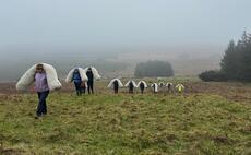 Locally sourced 'wool logs' help peatland restoration in Antrim hills 