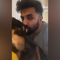 "A safe return of our community dogs": Vir Das welcomes SC's modified order on stray dogs