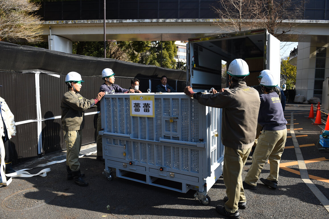 JAPAN-TOKYO-CHINA-GIANT PANDAS-RETURN