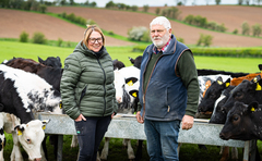 How changing to an integrated calf scheme has brought multiple benefits to one Cumbrian farm