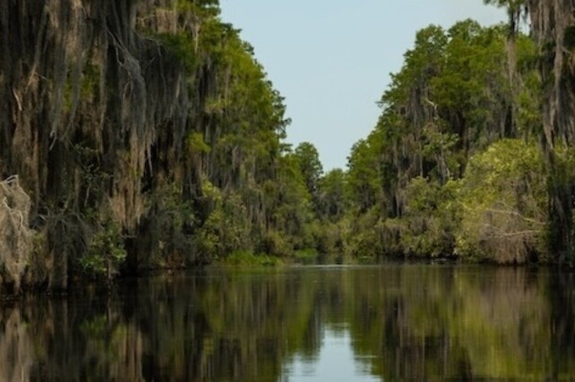 Southeastern river plagued by rising pollution lands on "most endangered" list