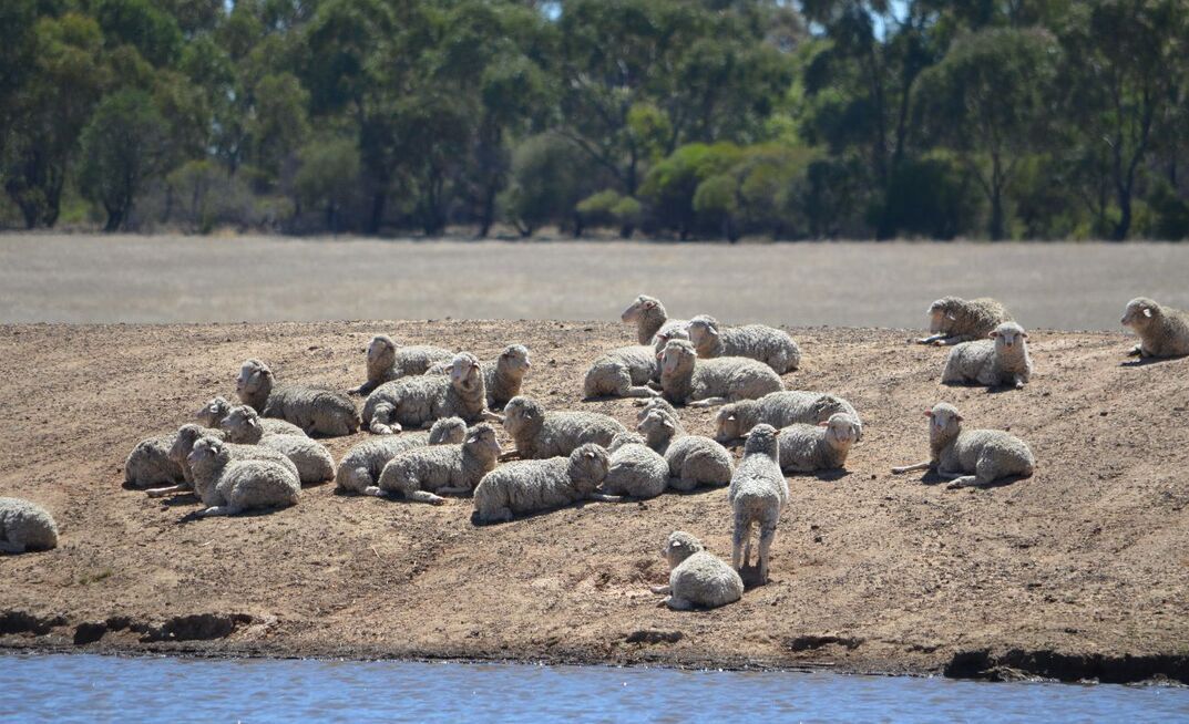 March saw downpours in many parts of south-eastern Australia, replenishing ground water supplies.