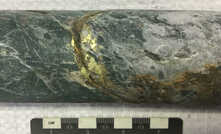 Visible gold from INDDH17-081 drill core before the low grades started coming