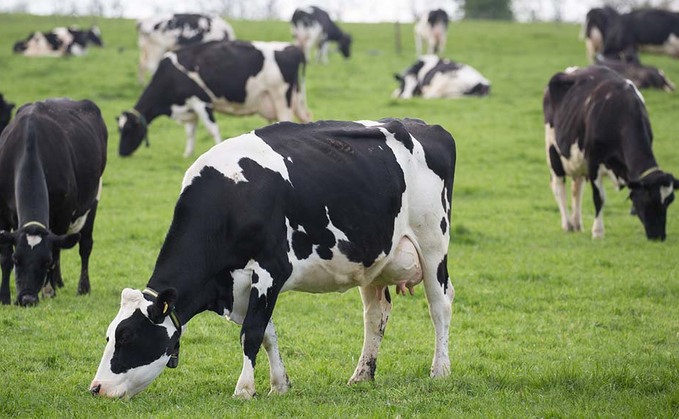 Fall in global milk production needed to 'turn around prices'