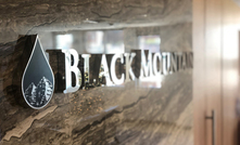 Black Mountain director resigns 