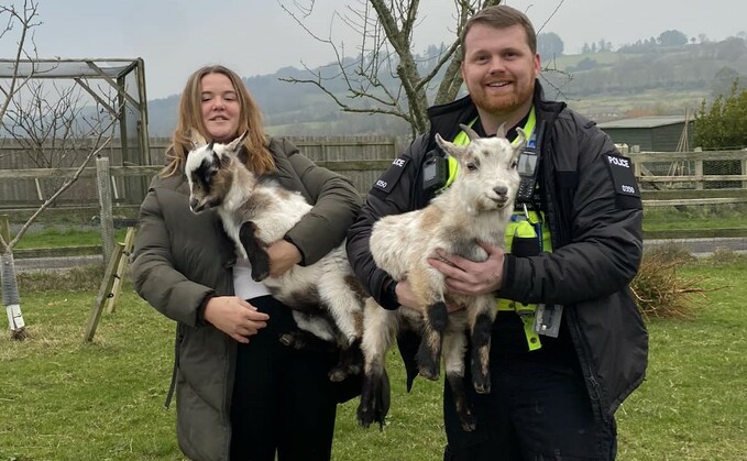 Margoat and Robbie were reunited with owner Alice by police constable Sebastian Haggett (Dorset Police Rural Crime Team)
