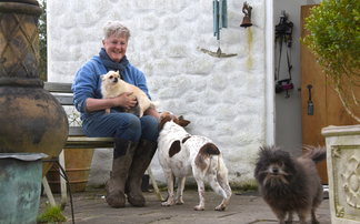 Delivering the flavour of West Wales farming certified 'Pasture for Life' beef and lamb