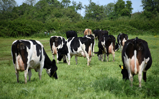 Scotland leads the way in organic farming as land continues to increase