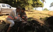 Exploração da Axía em GO Bom Jardim