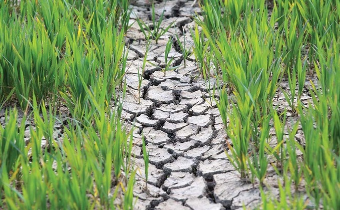 Farmers voice drought distress as spell of dry weather continues