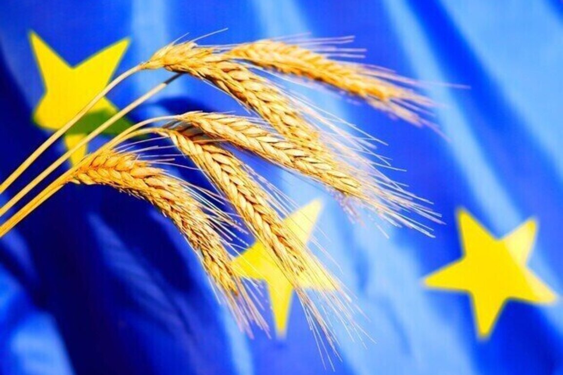 European wheat prices fall for third session on ample global supply