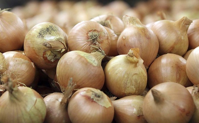 Onion growers have been issued a Force seed treatment reprieve
