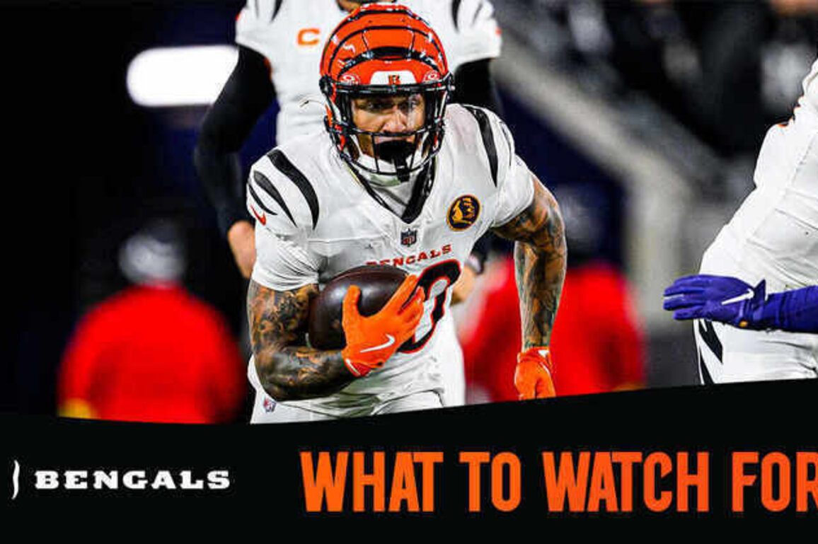 What to Watch For | Bengals at Bills Week 14
