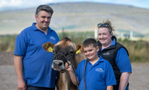 Cream of the crop: Meet the Crossfell show stars set for UK Dairy Day