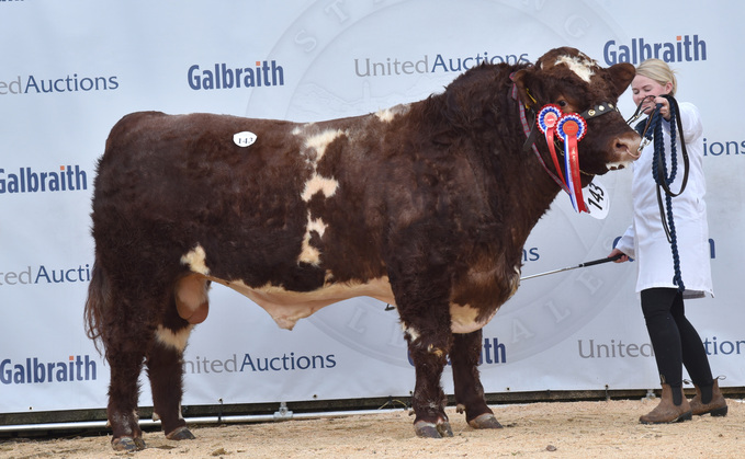 Overall champion Drumsleed Trojan from Gerald Smith, Laurencekirk, which sold for 7,500gns.